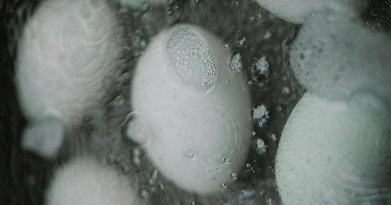 Pexels/Klaus Nielsen